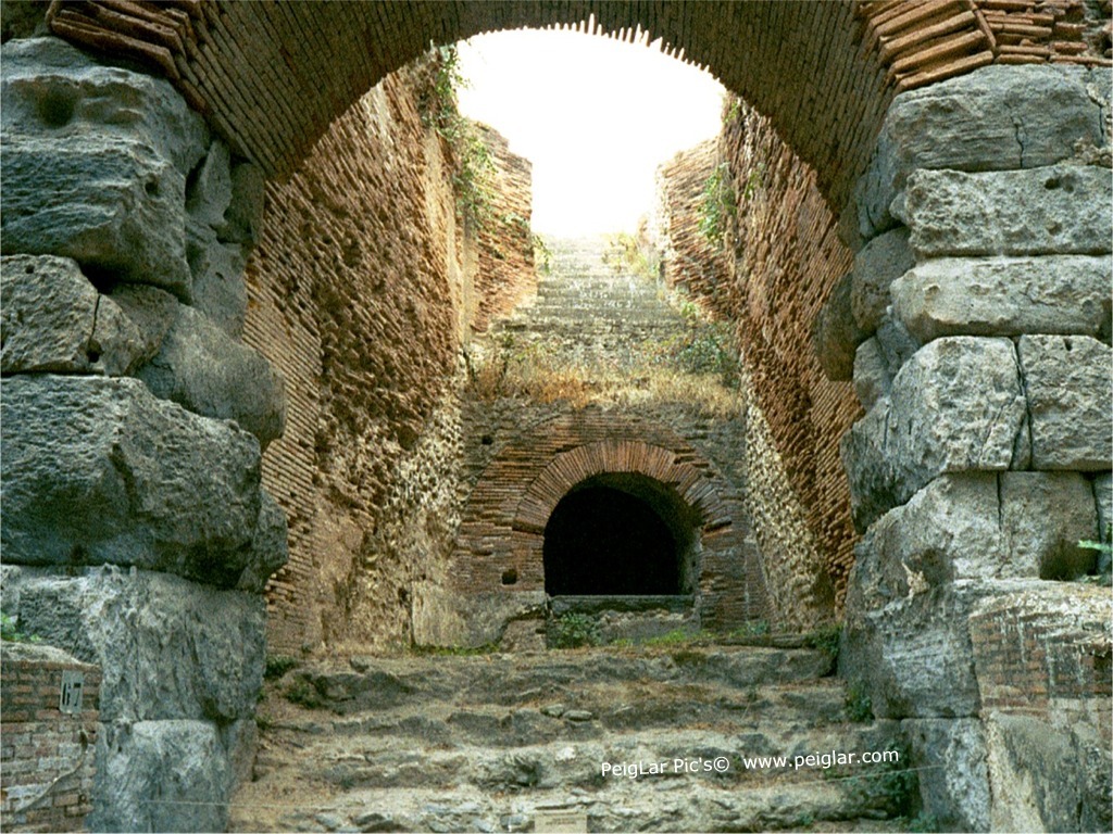 it pozz 76544_19dt.jpg